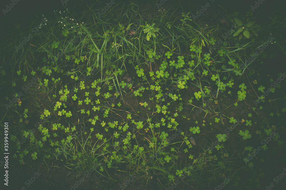 abstract green background with particles abstract green background with particles