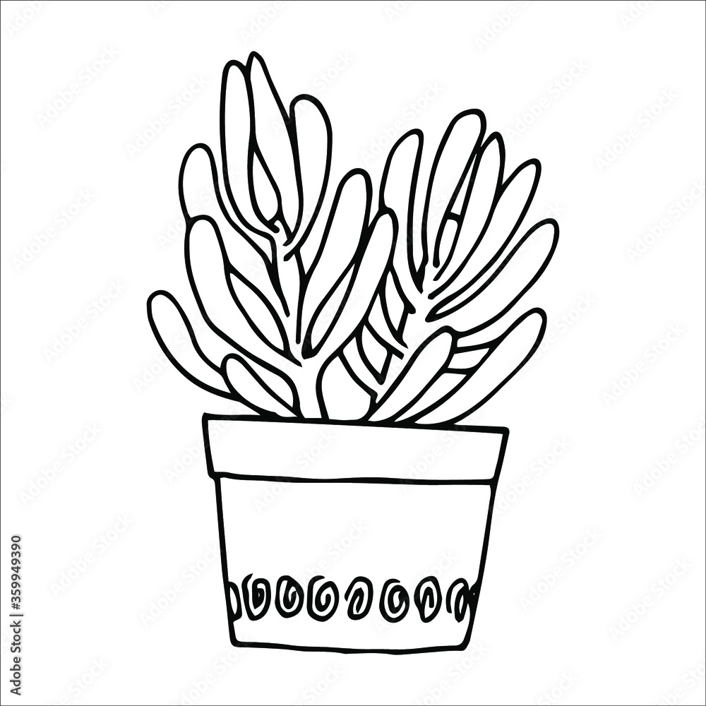 succulent in a round pot, hand drawn, vector illustration, doodle, sketch, isolated, black and white succulent in a round pot, hand drawn, vector illustration, doodle, sketch, isolated, black and white