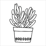 succulent in a round pot, hand drawn, vector illustration, doodle, sketch, isolated, black and white