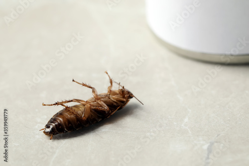Dead brown cockroach on light grey marble background, closeup. Pest control © New Africa
