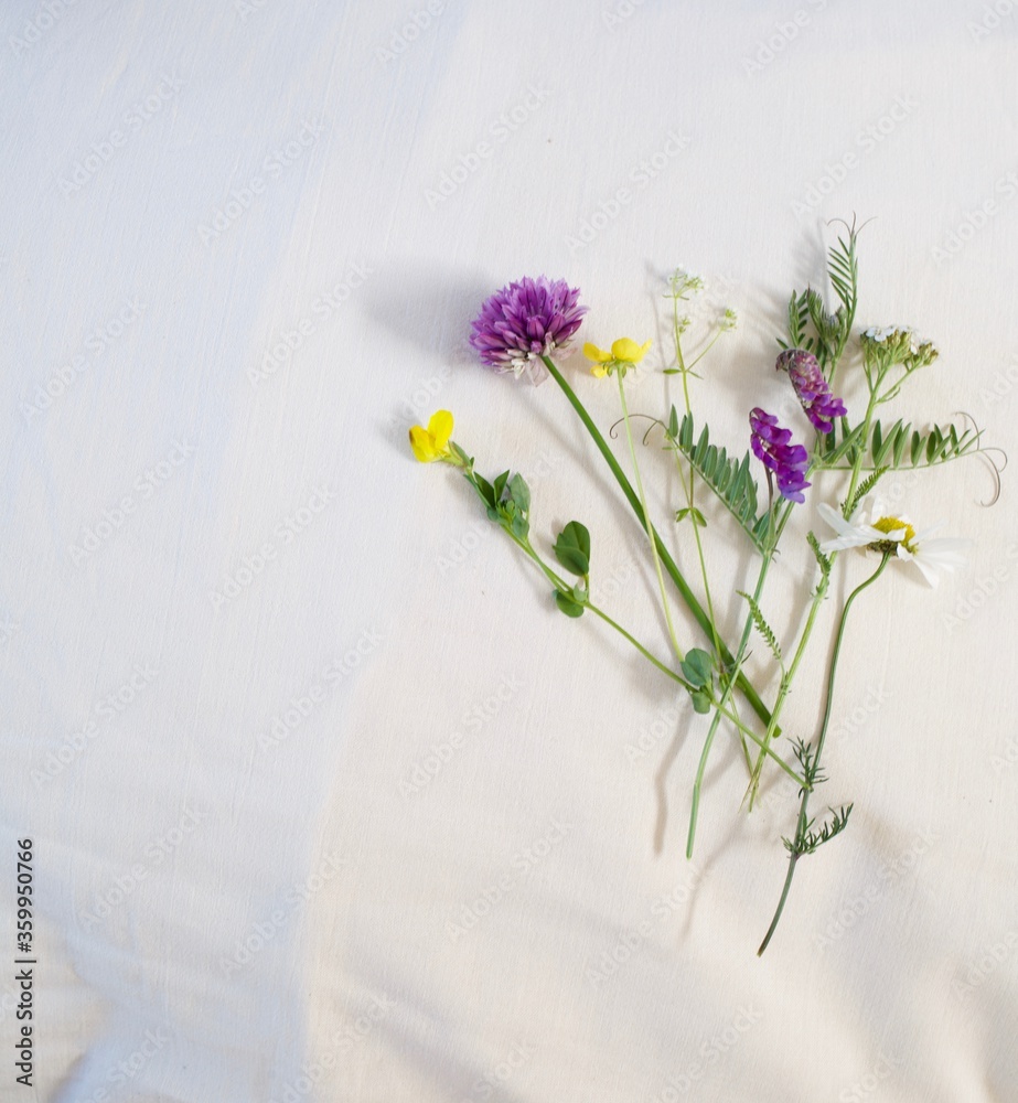 custom made wallpaper toronto digitalSeven flowers under the pillow, a Scandinavian tradition for midsummer