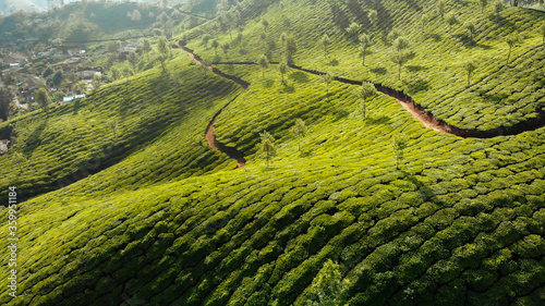 Aerial view of drone tea plantations in the vicinity of the city of Munnar. Kerala. India.