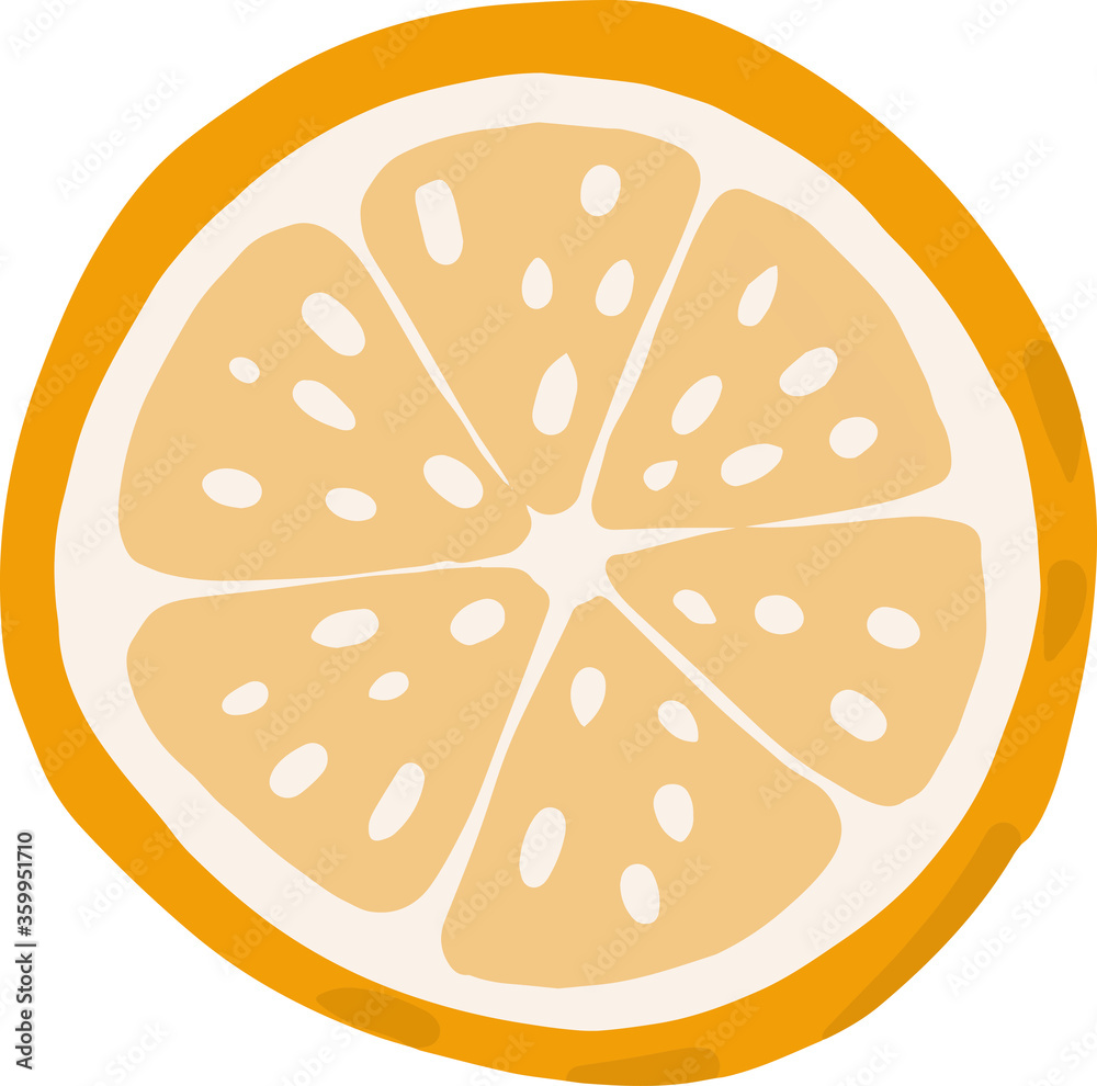 Orange slice clipart hand drawn childish flat style isolated on white background.