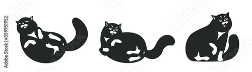 a fat funny cat sleeps sweetly pleased, wakes up in surprise, sits and takes offense swears