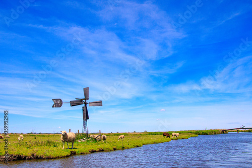 Dutch landscape with sheep, grassland, canal, bridge and windmill