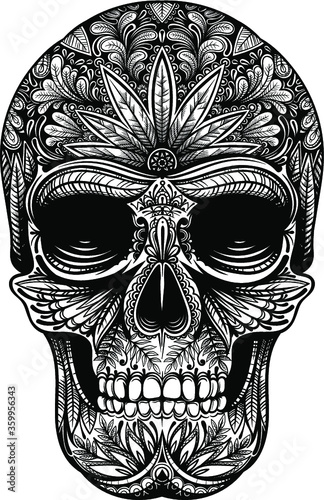 Vector Black and White Skull Illustration