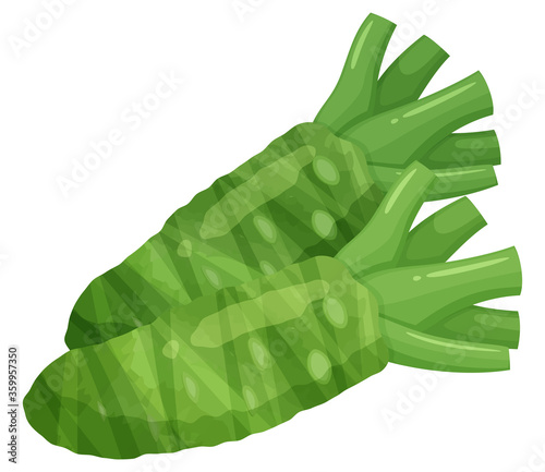 本わさびのイラスト