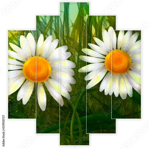 Daisy flowers composition, Daisy illustration with acrylic painting