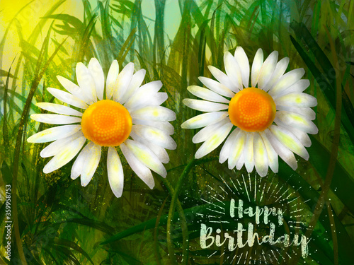 Daisy flowers Happy birthday, Daisy illustration with acrylic painting.