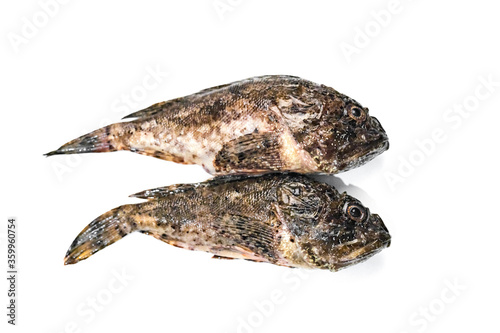 Isolated fresh frozen fish. Wholesale fish.finished fish products on a white background.