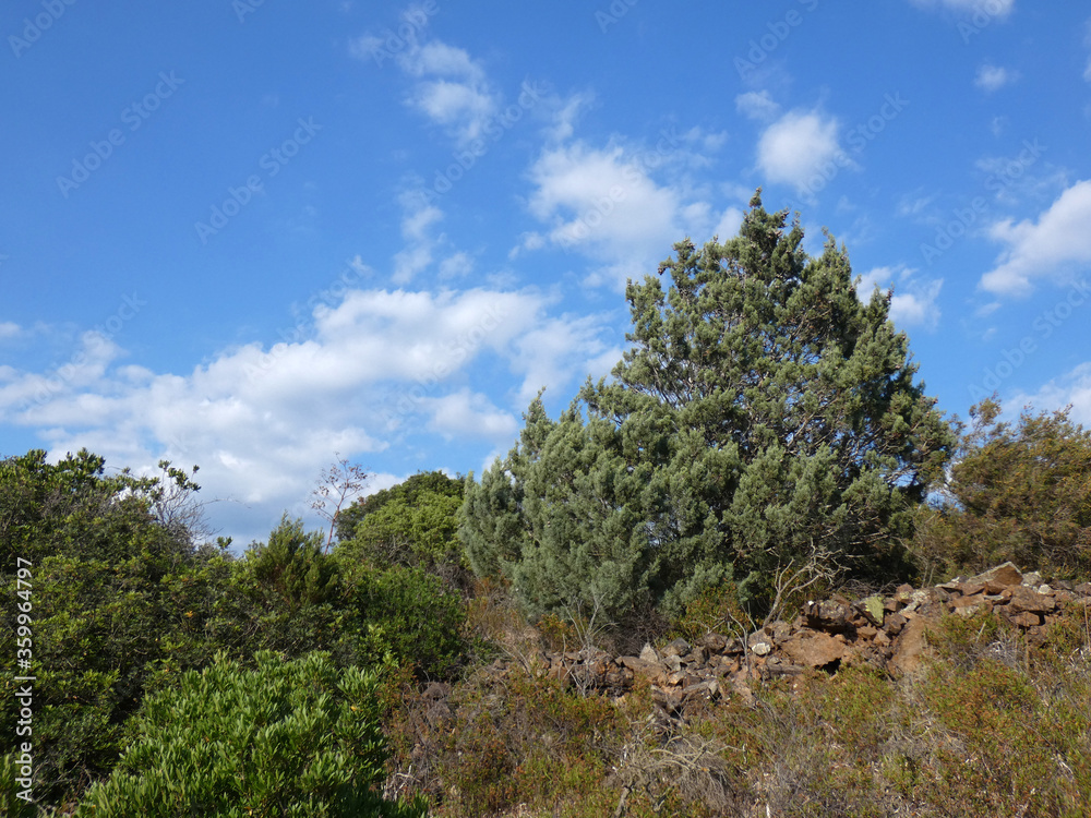 Paesaggio di Sardegna