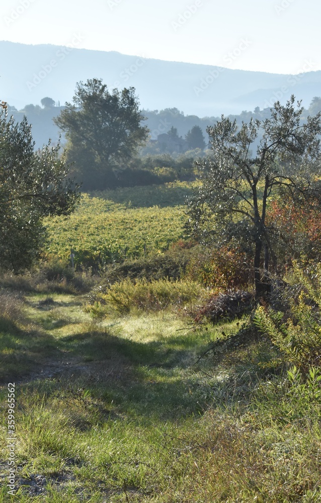The soft sun shows the way in Tuscany Italy The soft sun shows the way in Tuscany Italy