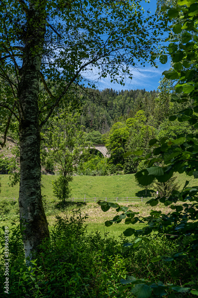 Fototapeta premium Ravenna bridge viaduct at the Ravenna gorge in Breitnau, Black Forest, Germany