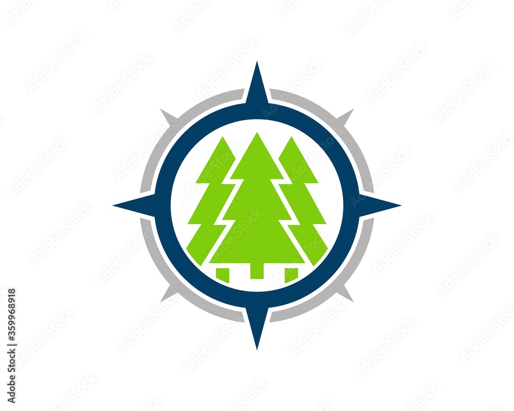 Compass with pine tree inside Compass with pine tree inside