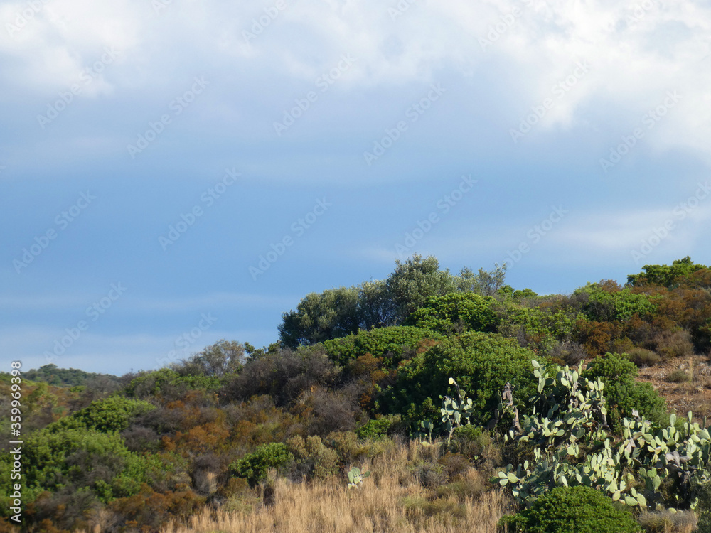 Fototapeta premium Paesaggio di Sardegna