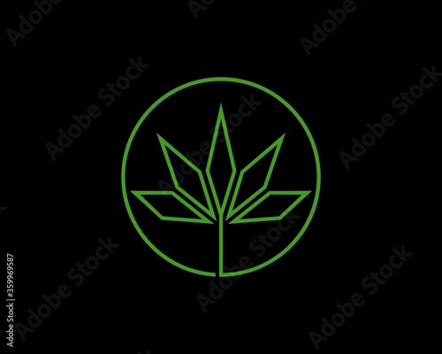 Cannabis circle with line art style