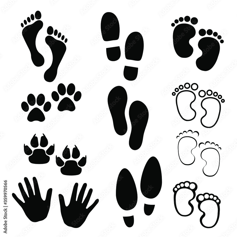 Fototapeta Footprints of animals and humans, paws. Elements for design, advertising, web, packaging, textile. Vector.