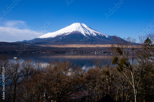 Mount Fuji with snowcap with tree foreground, from Lake Yamanaka, Japan