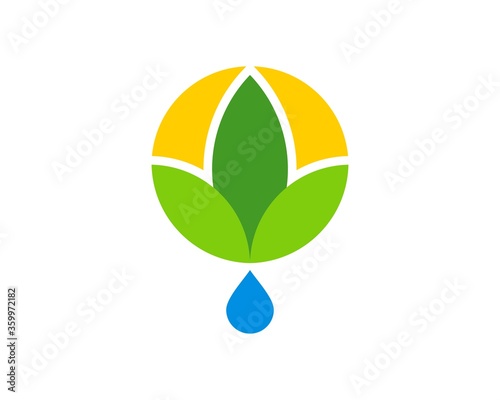 Organic leaf with water drop below