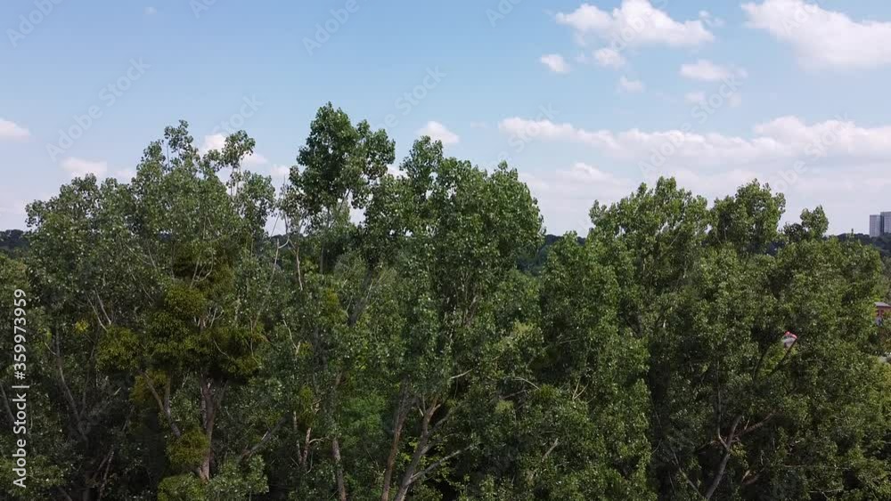 drone shot over trees drone shot over trees