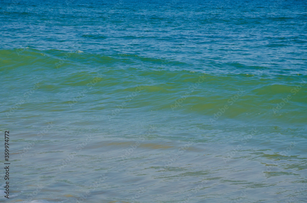 Florida-Ocean Waves and Surf