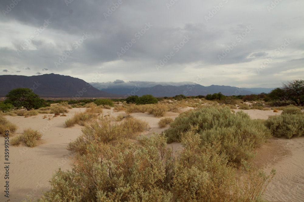 Arid landscape. view of the desert sand and dunes, vegetation and mountains under a stormy sky. Arid landscape. view of the desert sand and dunes, vegetation and mountains under a stormy sky.