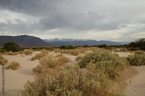 Arid landscape. view of the desert sand and dunes, vegetation and mountains under a stormy sky. 