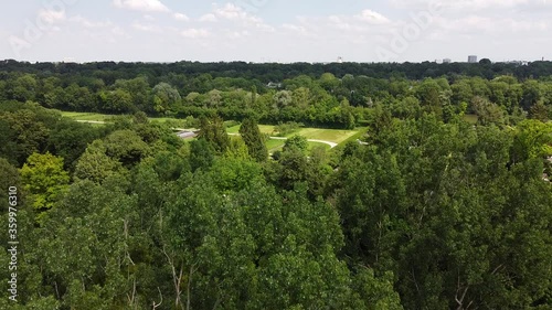 Wallpaper Mural drone shot over green trees  Torontodigital.ca