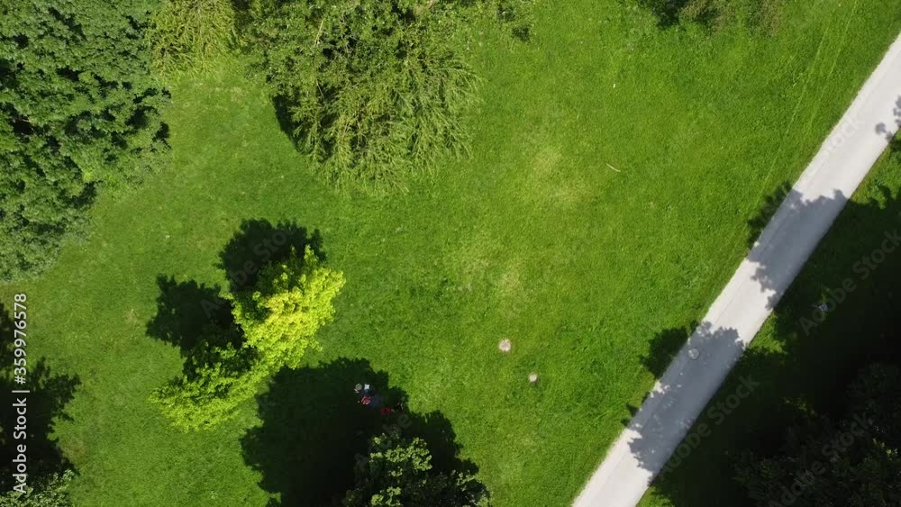 drone shot over green trees munich englischer garten