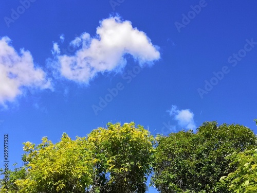 Blue Sky and Cloud