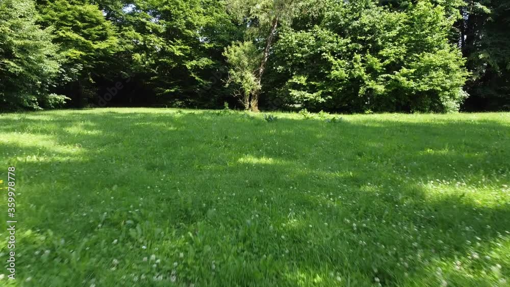 fast backward drone flight over green grass fast backward drone flight over green grass