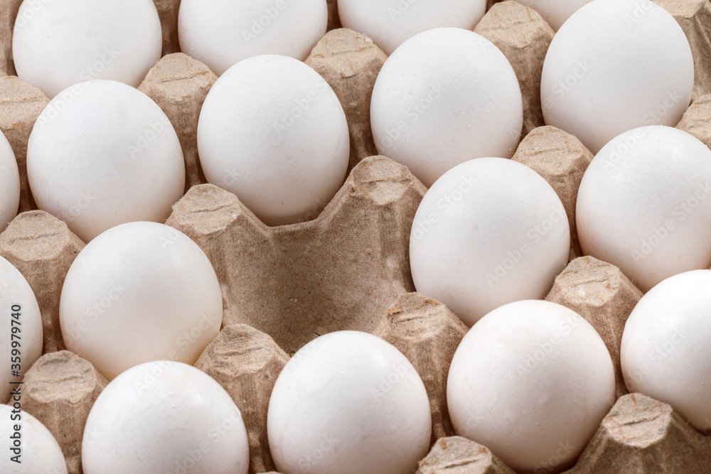 White chicken eggs in a cardboard tray box with empty space background White chicken eggs in a cardboard tray box with empty space background
