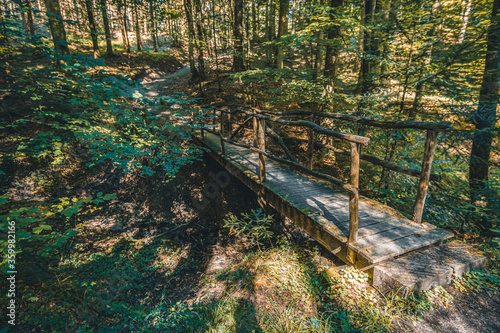 Idyllic old bridge in a forest