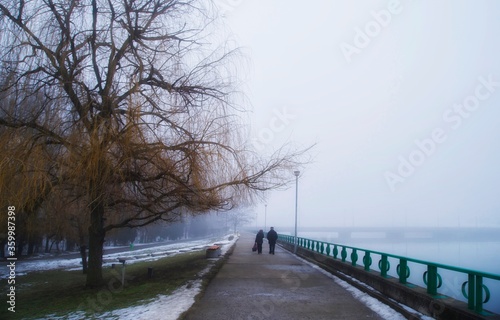 foggy morning in the park © mugurelcm