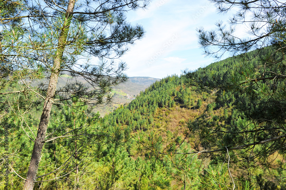 
Paisaje otoñal de las montañas en el Camino de Santiago, Camino Sanabres, cerca de Laza, provincia de Orense, Galicia, España