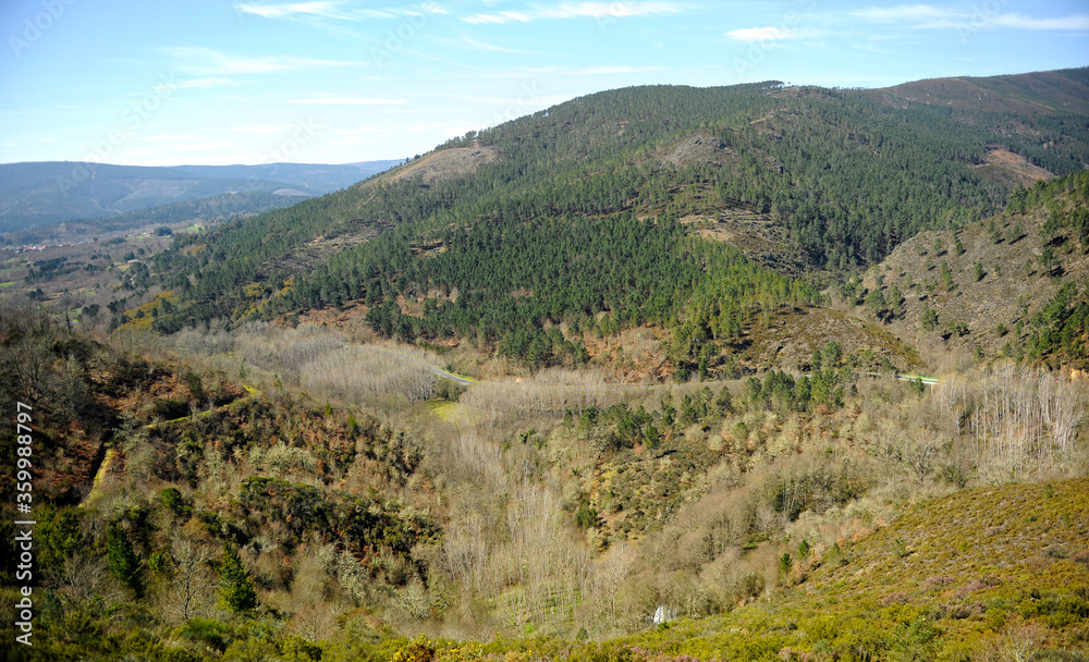 Autumnal natural landscape of the mountains on the Camino de Santiago, Camino Sanabres, near Laza, Orense province, Galicia, Spain