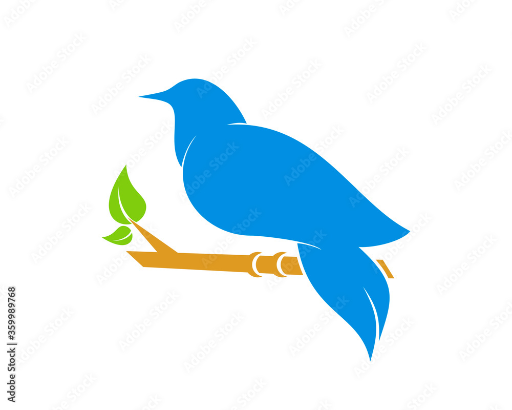 Beauty bird on the tree Beauty bird on the tree