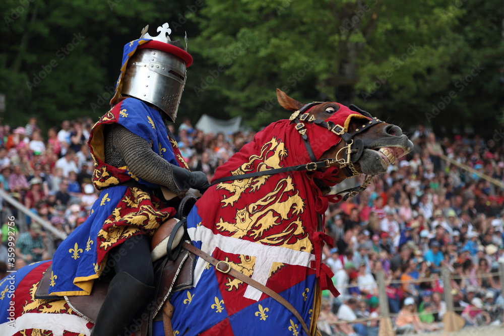 Medieval Festival: Knight With His Horse