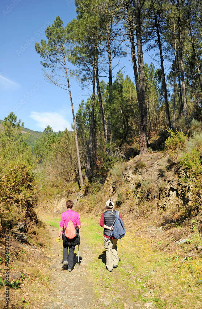 Two women pilgrims on the Camino de Santiago, Camino Sanabres from Campobecerros towards the town of Laza, Orense province, Spain Two women pilgrims on the Camino de Santiago, Camino Sanabres from Campobecerros towards the town of Laza, Orense province, Spain