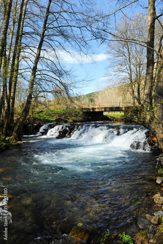 Warterfall of Cereixo river in the forest near Laza  a village in the province of Ourense  Galicia  Spain