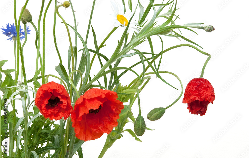 Fototapeta premium Bouquet of wildflowers