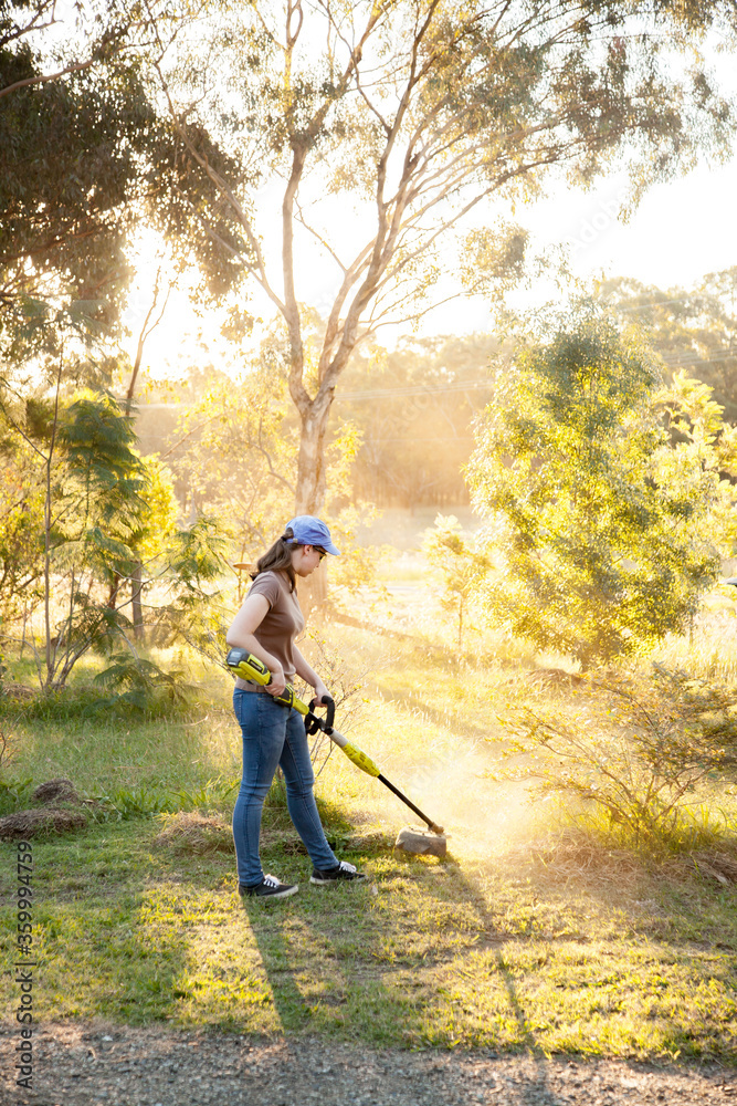 Light sale whipper snipper
