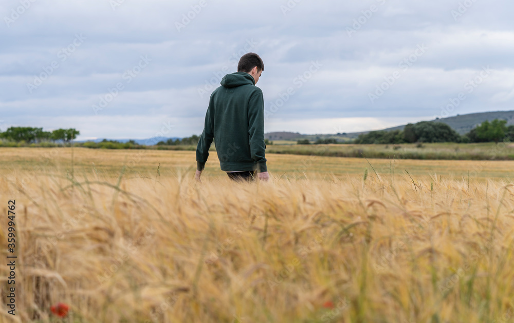 boy in sportswear in a wheat field strolls thoughtfully into the sunset boy in sportswear in a wheat field strolls thoughtfully into the sunset