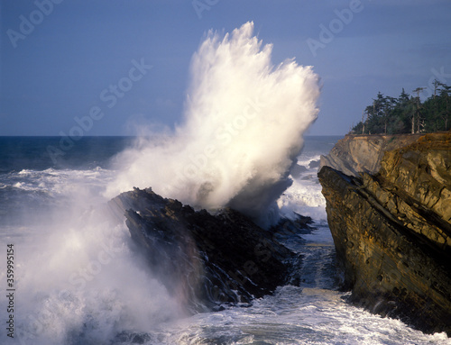Fototapeta Naklejka Na Ścianę i Meble -  A huge wave breaking against off-shore rocks at Shore Acres State park near Charleston, Oregon.