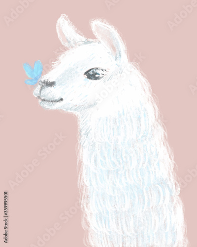 Cute and Fluffy Llama hand drawn illustration