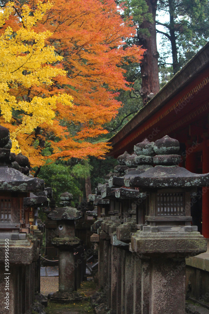 japanese temple in autumn in Nara.