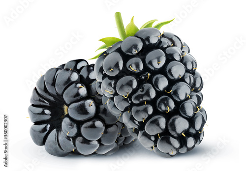 Isolated blackberries. Two blackberry fruits isolated over white background