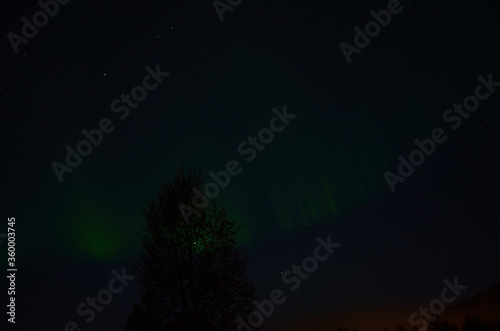 aurora borealis on autumn night sky