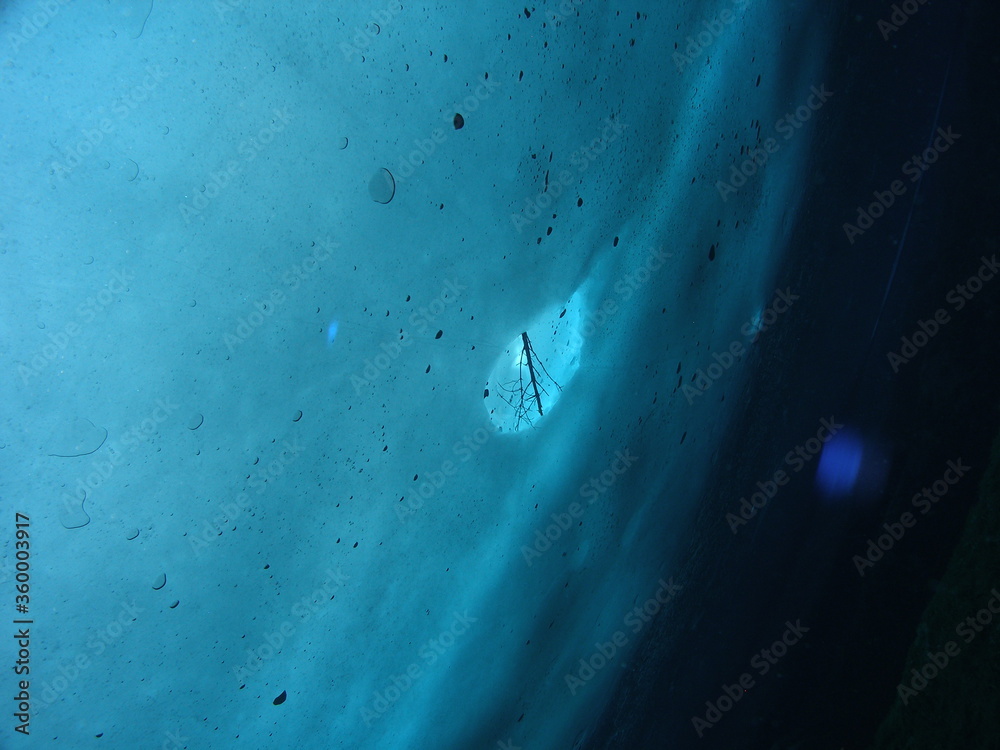 Fototapeta premium Eistauchen