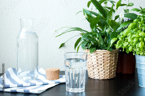 A glass of water with bottle and green plant in a pot on the table. Water, fresh, glass, plant, green, health. Beautiful fresh background for summer and health concept.